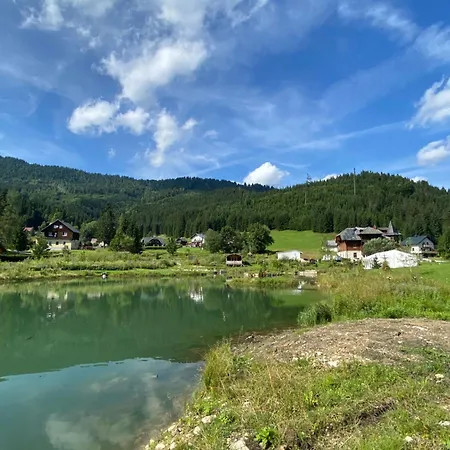 Dağ evi Frein - Oberfrein